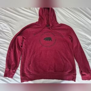 The North Face Men's XL Deep Maroon Pullover Hoodie with Bear Logo
